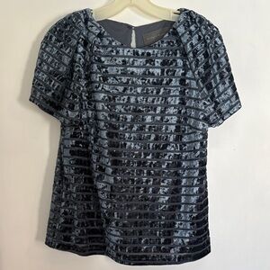 Anthropologie Sunday in Brooklyn blue velvet short sleeve top, size small